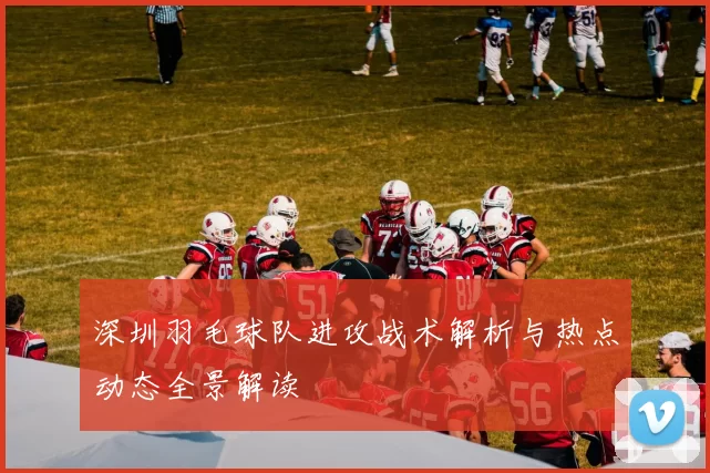 深圳羽毛球队进攻战术解析与热点动态全景解读