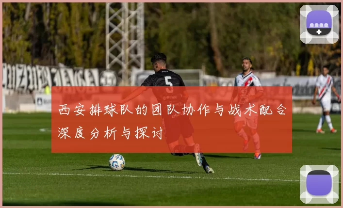 西安排球队的团队协作与战术配合深度分析与探讨