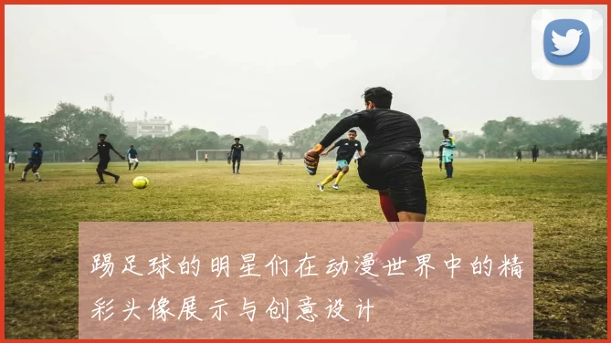 踢足球的明星们在动漫世界中的精彩头像展示与创意设计