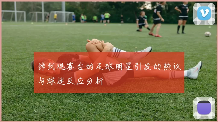 掉到观赛台的足球明星引发的热议与球迷反应分析