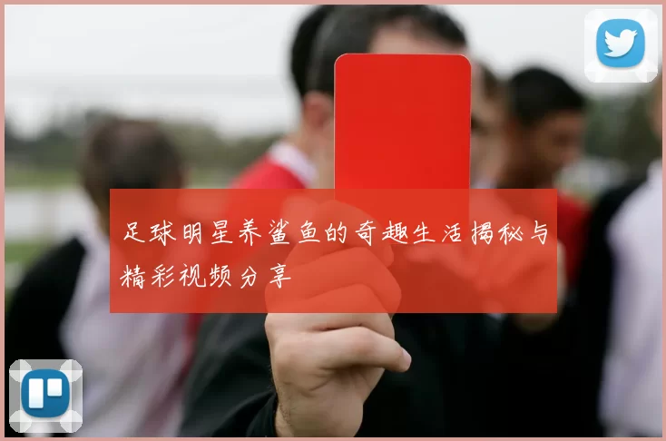 足球明星养鲨鱼的奇趣生活揭秘与精彩视频分享