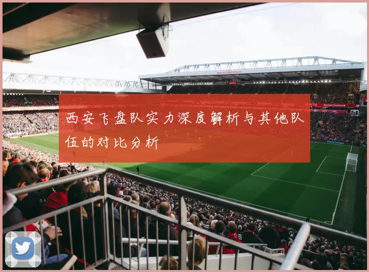 西安飞盘队实力深度解析与其他队伍的对比分析