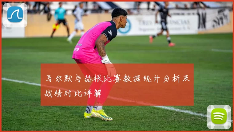 马尔默与赫根比赛数据统计分析及战绩对比详解