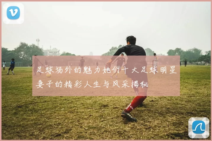 足球场外的魅力她们十大足球明星妻子的精彩人生与风采揭秘