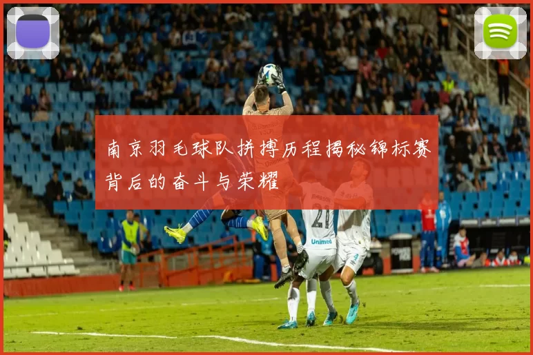 南京羽毛球队拼搏历程揭秘锦标赛背后的奋斗与荣耀