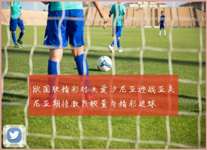 欧国联精彩对决爱沙尼亚迎战亚美尼亚期待激烈较量与精彩进球