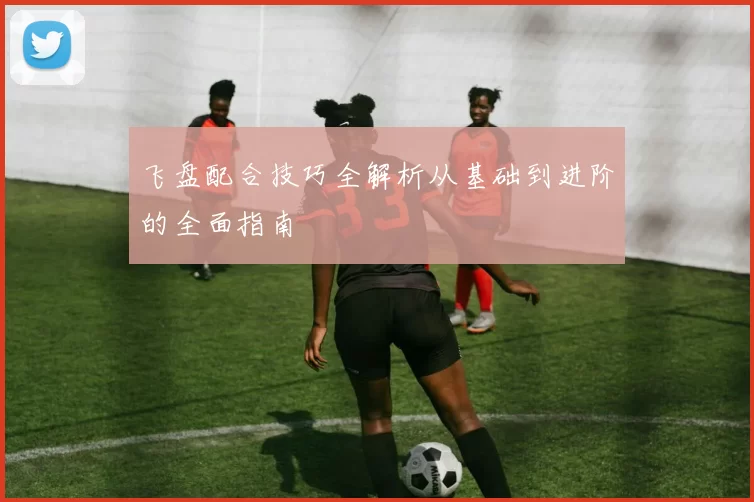 飞盘配合技巧全解析从基础到进阶的全面指南