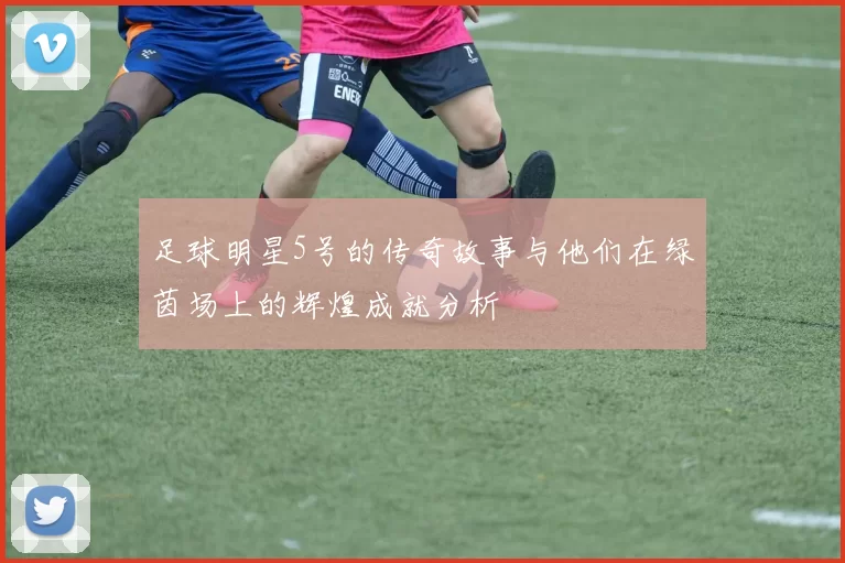 足球明星5号的传奇故事与他们在绿茵场上的辉煌成就分析