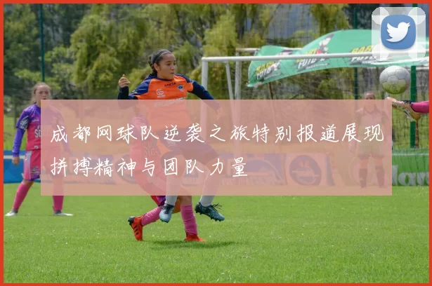 成都网球队逆袭之旅特别报道展现拼搏精神与团队力量