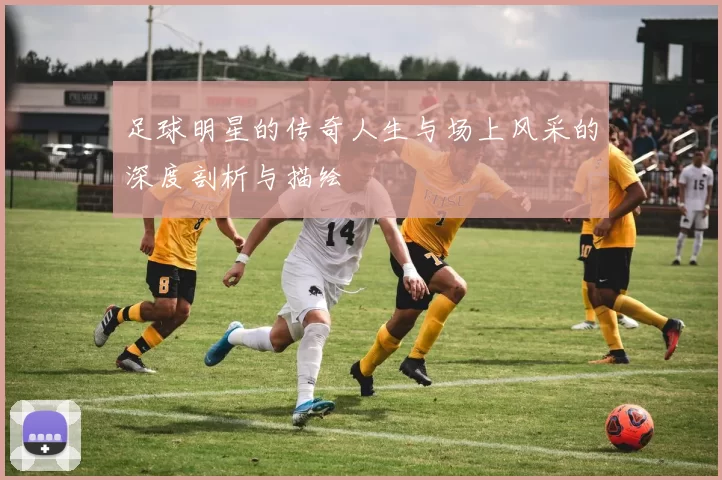 足球明星的传奇人生与场上风采的深度剖析与描绘