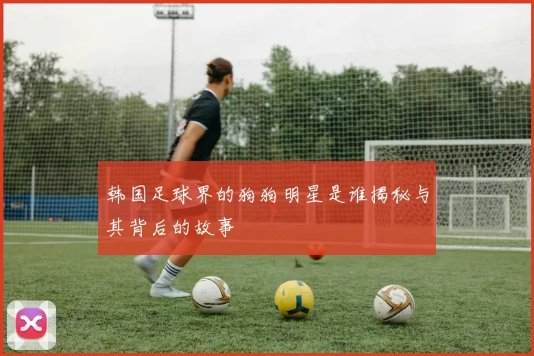 韩国足球界的狗狗明星是谁揭秘与其背后的故事