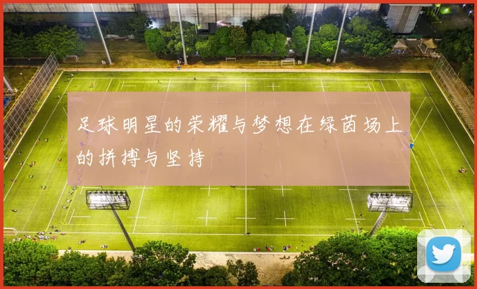 足球明星的荣耀与梦想在绿茵场上的拼搏与坚持