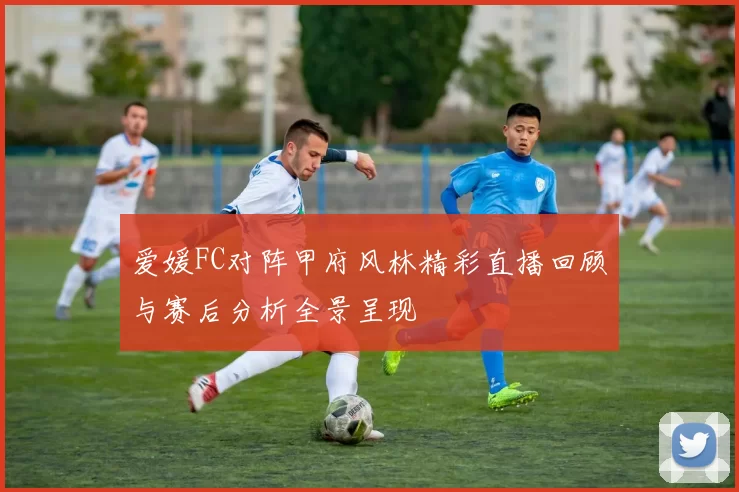爱媛FC对阵甲府风林精彩直播回顾与赛后分析全景呈现