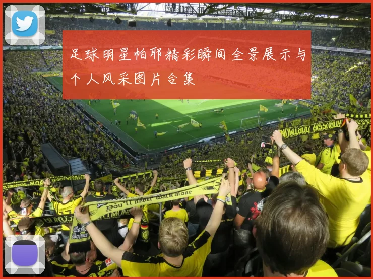 足球明星帕耶精彩瞬间全景展示与个人风采图片合集