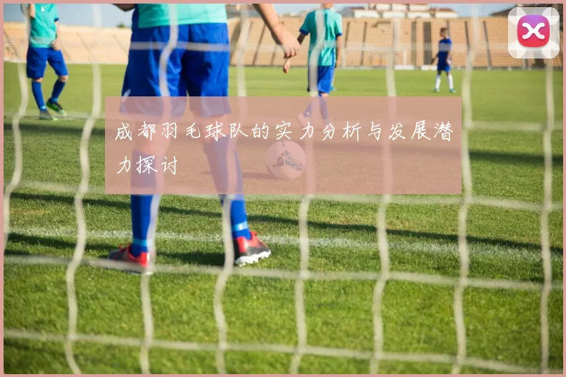 成都羽毛球队的实力分析与发展潜力探讨