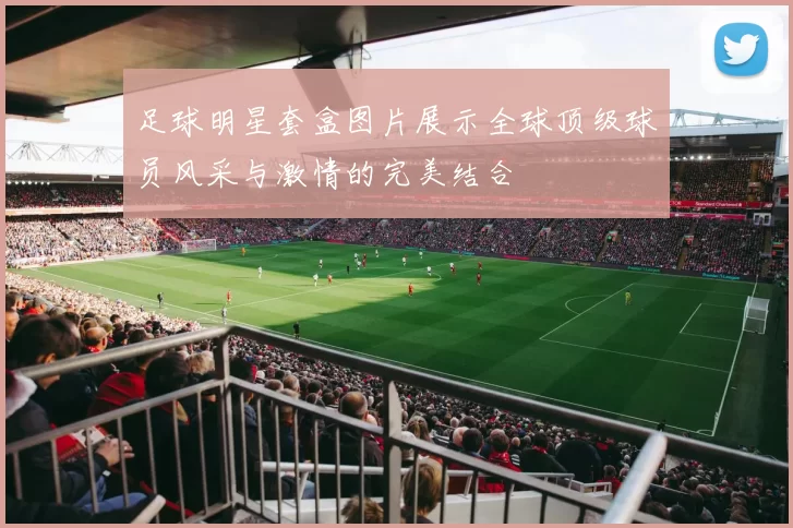 足球明星套盒图片展示全球顶级球员风采与激情的完美结合