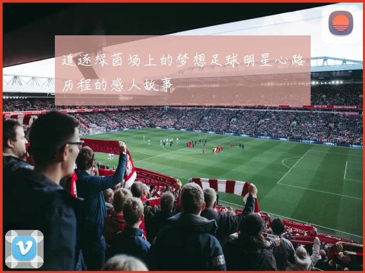 追逐绿茵场上的梦想足球明星心路历程的感人故事