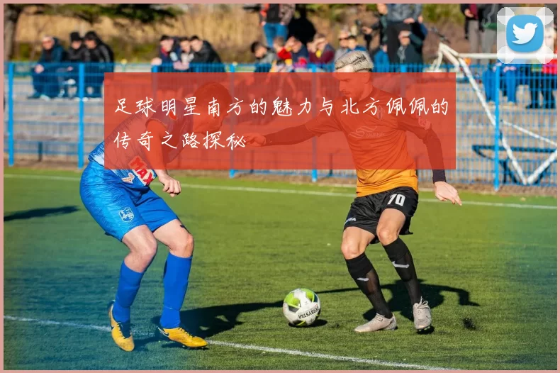 足球明星南方的魅力与北方佩佩的传奇之路探秘