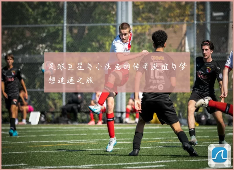 足球巨星与小法老的传奇友谊与梦想追逐之旅